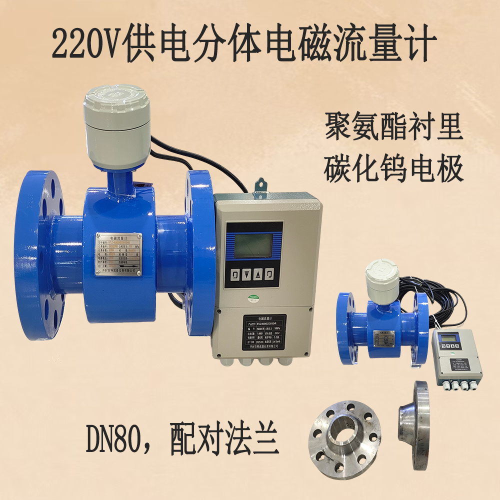 開封百特220V供電分體流量計，DN80，聚氨酯襯里，碳化鎢電極(含配對法蘭)   .jpg