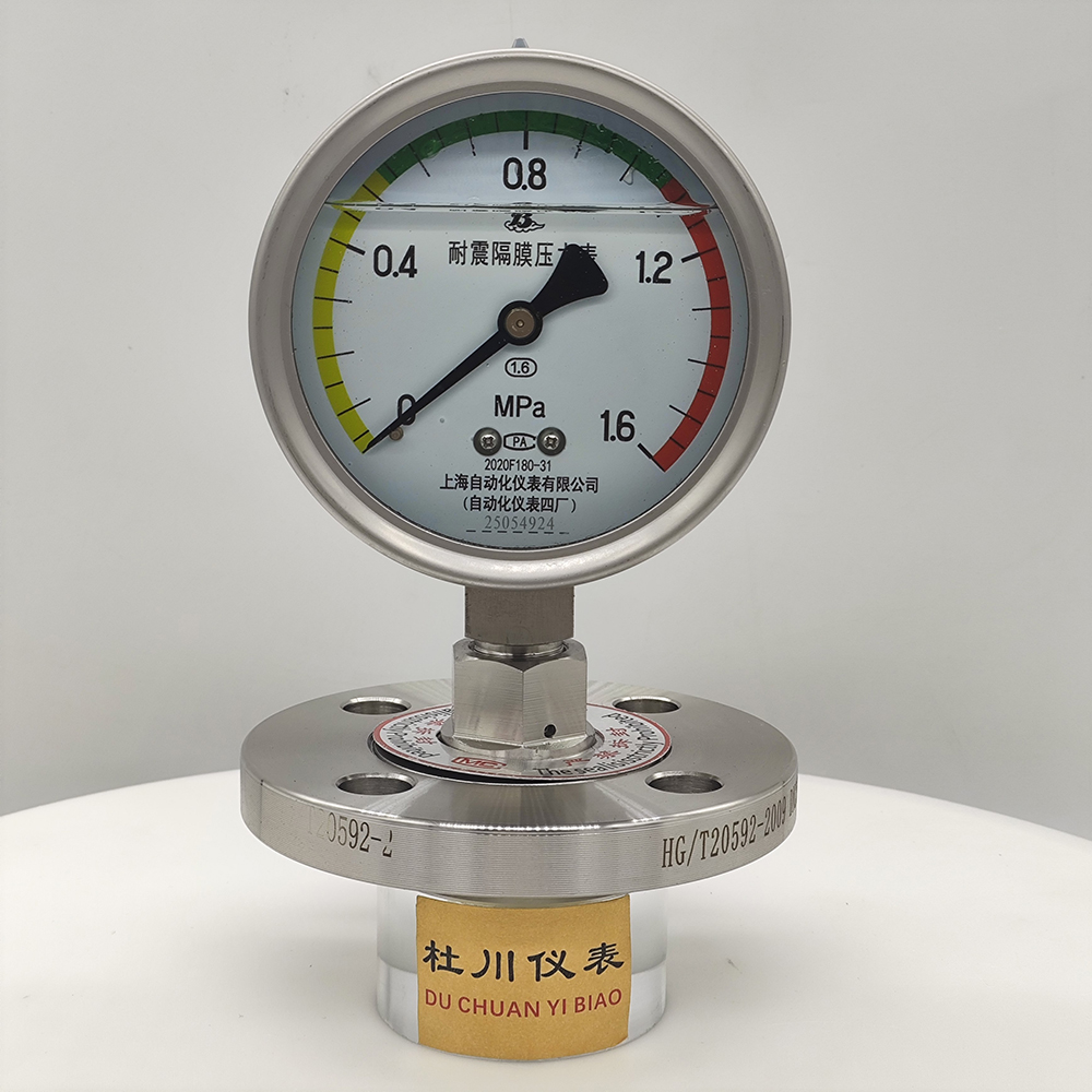 YNTP100BF法蘭DN25，膜片316L+PTFE（2）.jpg