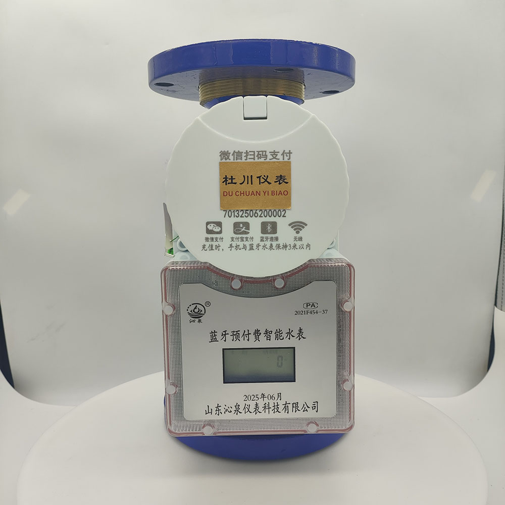 沁泉藍(lán)牙預(yù)付費(fèi)智能水表，DN65，水平冷水.jpg