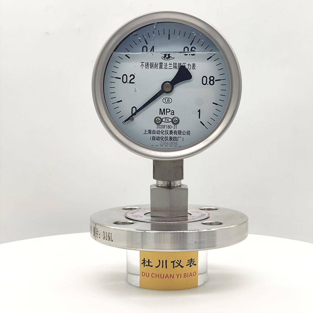 上海自動化YNTP100BF，DN25法蘭，1mpa.jpg