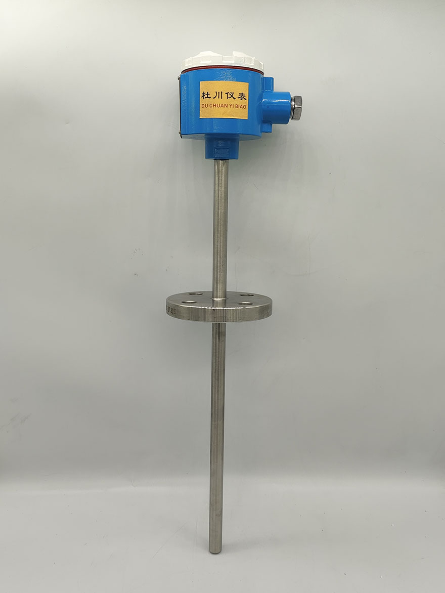 防爆熱電阻MM-SBWZR-441，-50-450℃，PT100，400x250mm，DN20.jpg
